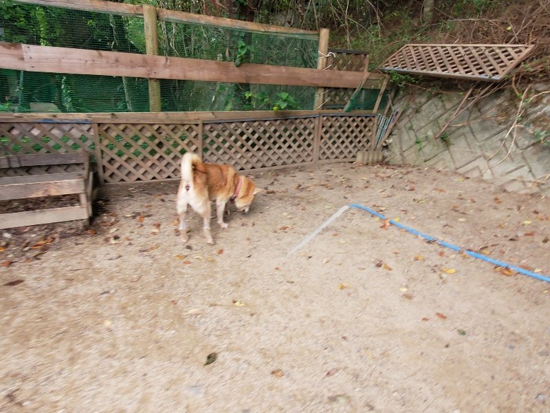 f:id:roukenhome-ann:20191007194045j:plain f:id:roukenhome-ann:20191007194045j:plain