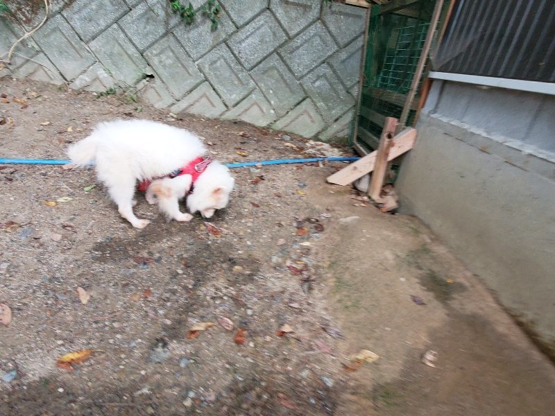 f:id:roukenhome-ann:20191007194055j:plain f:id:roukenhome-ann:20191007194055j:plain