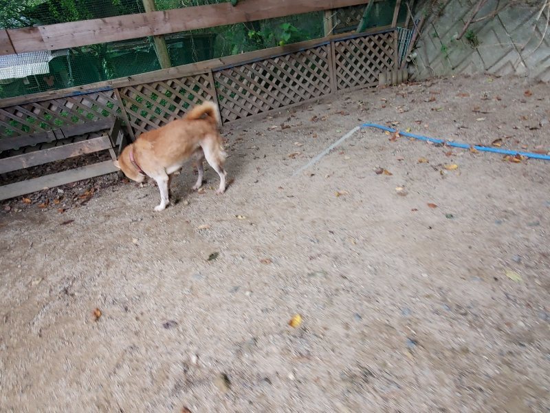 f:id:roukenhome-ann:20191007194101j:plain f:id:roukenhome-ann:20191007194101j:plain