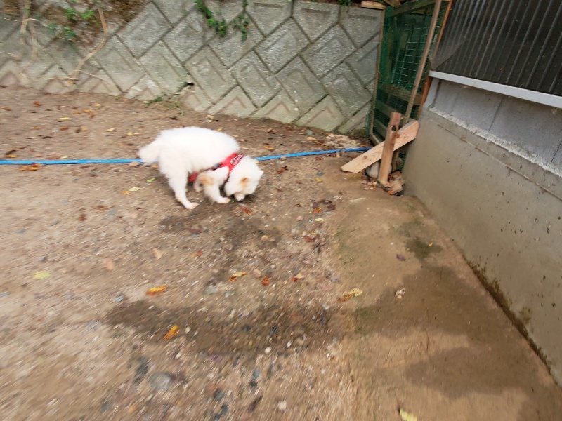 f:id:roukenhome-ann:20191007194107j:plain f:id:roukenhome-ann:20191007194107j:plain