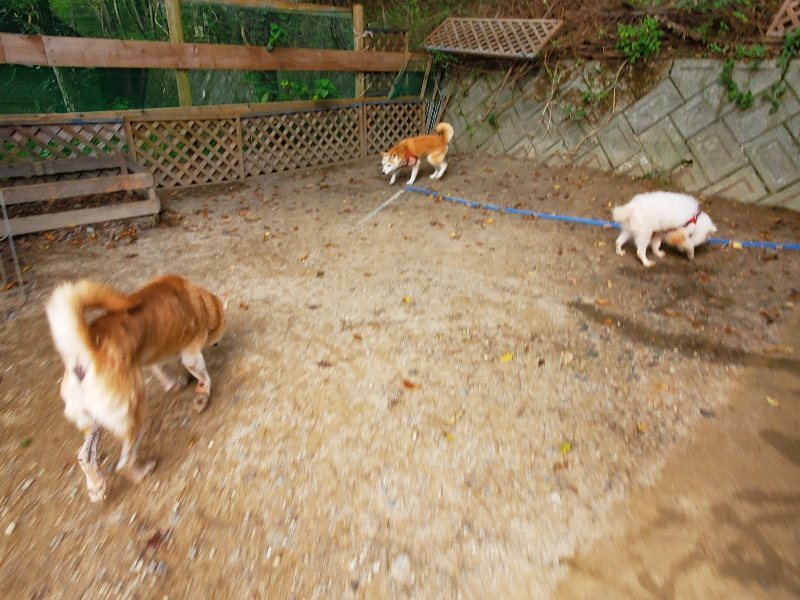 f:id:roukenhome-ann:20191007194221j:plain f:id:roukenhome-ann:20191007194221j:plain