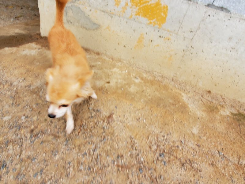 f:id:roukenhome-ann:20191007194235j:plain f:id:roukenhome-ann:20191007194235j:plain
