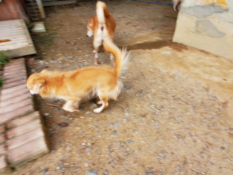 f:id:roukenhome-ann:20191007194239j:plain f:id:roukenhome-ann:20191007194239j:plain