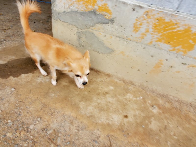 f:id:roukenhome-ann:20191007194244j:plain f:id:roukenhome-ann:20191007194244j:plain