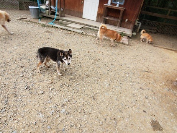 f:id:roukenhome-ann:20191007194315j:plain f:id:roukenhome-ann:20191007194315j:plain