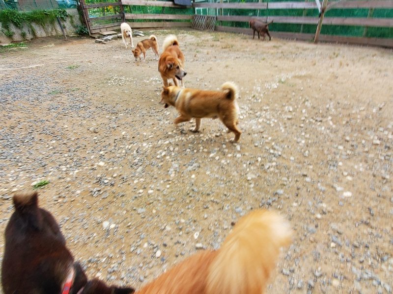 f:id:roukenhome-ann:20191007194402j:plain f:id:roukenhome-ann:20191007194402j:plain