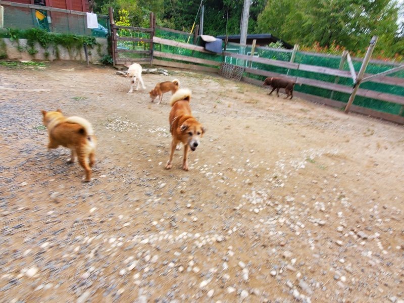 f:id:roukenhome-ann:20191007194409j:plain f:id:roukenhome-ann:20191007194409j:plain