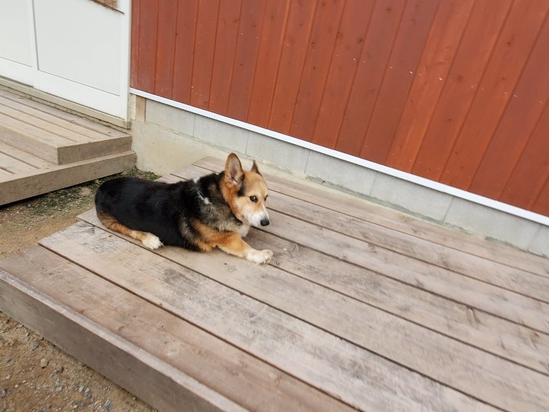 f:id:roukenhome-ann:20191007194433j:plain f:id:roukenhome-ann:20191007194433j:plain