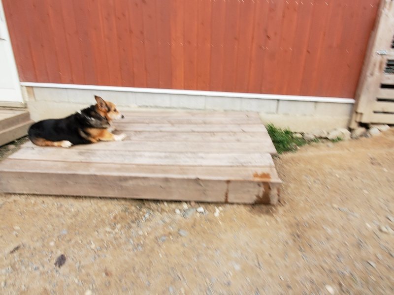 f:id:roukenhome-ann:20191007194441j:plain f:id:roukenhome-ann:20191007194441j:plain