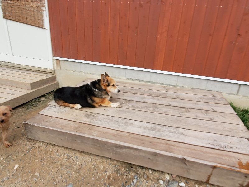 f:id:roukenhome-ann:20191007194454j:plain f:id:roukenhome-ann:20191007194454j:plain