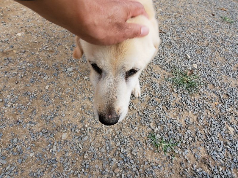 f:id:roukenhome-ann:20191007194501j:plain f:id:roukenhome-ann:20191007194501j:plain