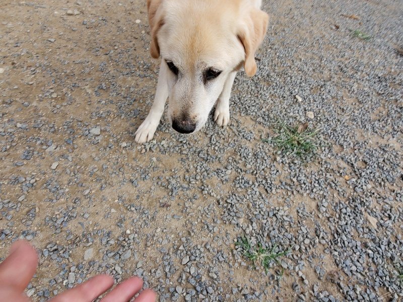 f:id:roukenhome-ann:20191007194509j:plain f:id:roukenhome-ann:20191007194509j:plain