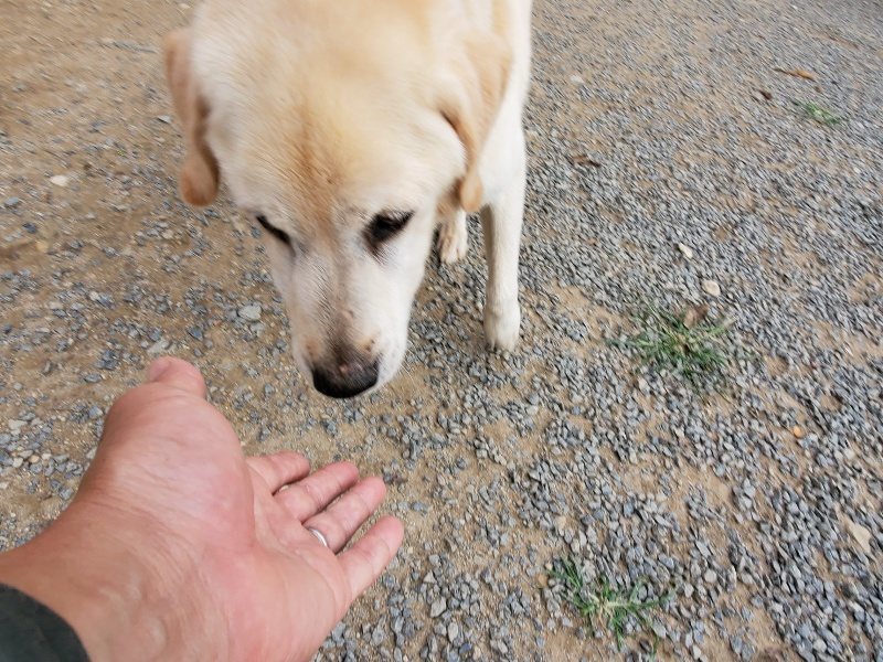 f:id:roukenhome-ann:20191007194515j:plain f:id:roukenhome-ann:20191007194515j:plain