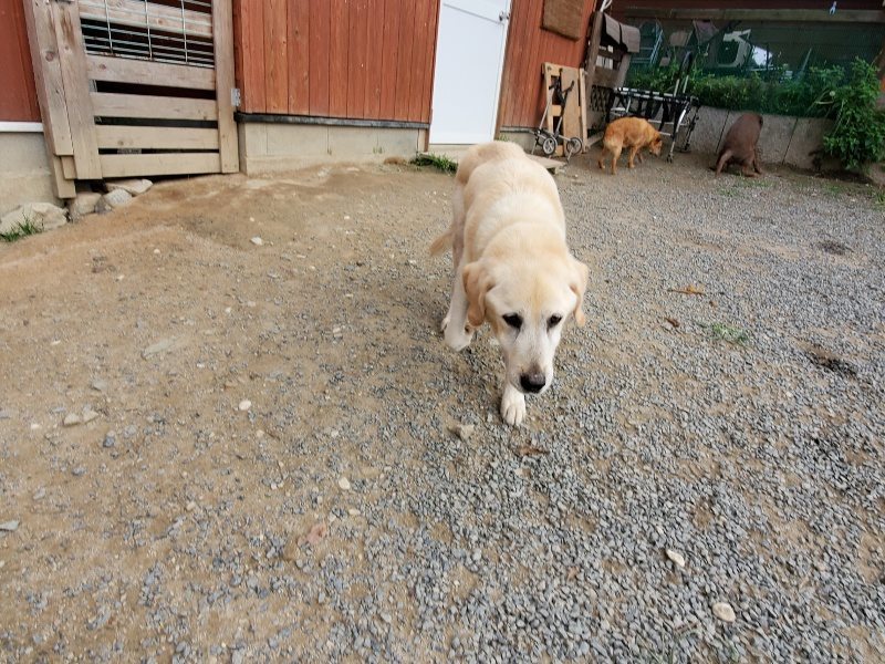 f:id:roukenhome-ann:20191007194523j:plain f:id:roukenhome-ann:20191007194523j:plain