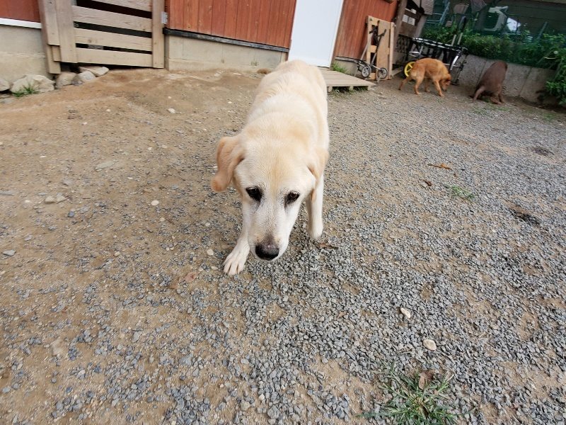 f:id:roukenhome-ann:20191007194529j:plain f:id:roukenhome-ann:20191007194529j:plain