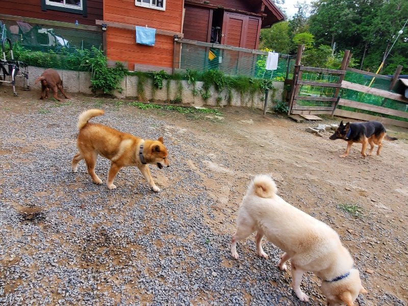 f:id:roukenhome-ann:20191007194538j:plain f:id:roukenhome-ann:20191007194538j:plain