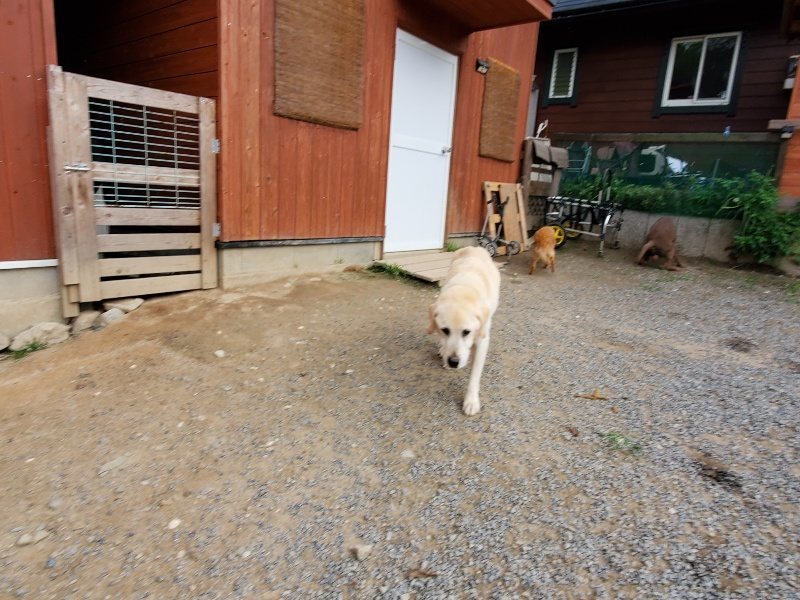 f:id:roukenhome-ann:20191007194543j:plain f:id:roukenhome-ann:20191007194543j:plain