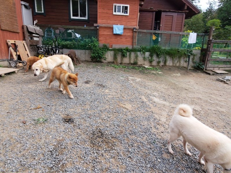 f:id:roukenhome-ann:20191007194552j:plain f:id:roukenhome-ann:20191007194552j:plain