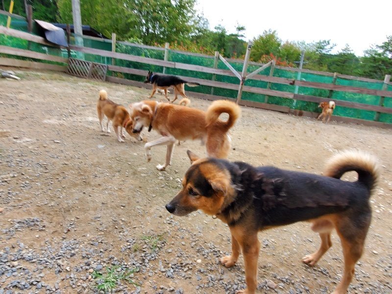 f:id:roukenhome-ann:20191007194603j:plain f:id:roukenhome-ann:20191007194603j:plain