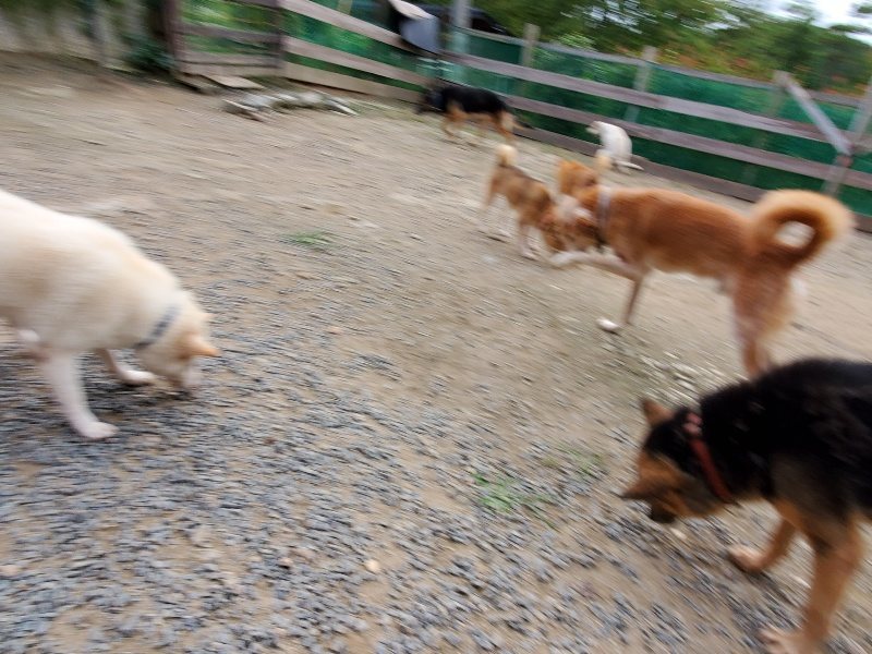 f:id:roukenhome-ann:20191007194610j:plain f:id:roukenhome-ann:20191007194610j:plain