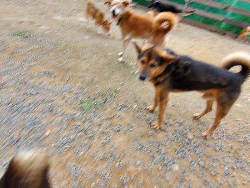 f:id:roukenhome-ann:20191007194615j:plain f:id:roukenhome-ann:20191007194615j:plain