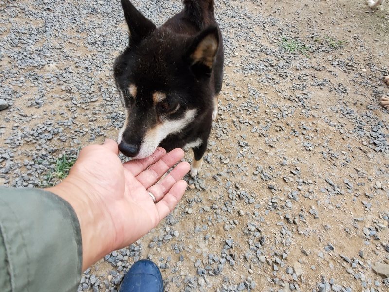 f:id:roukenhome-ann:20191007194624j:plain f:id:roukenhome-ann:20191007194624j:plain