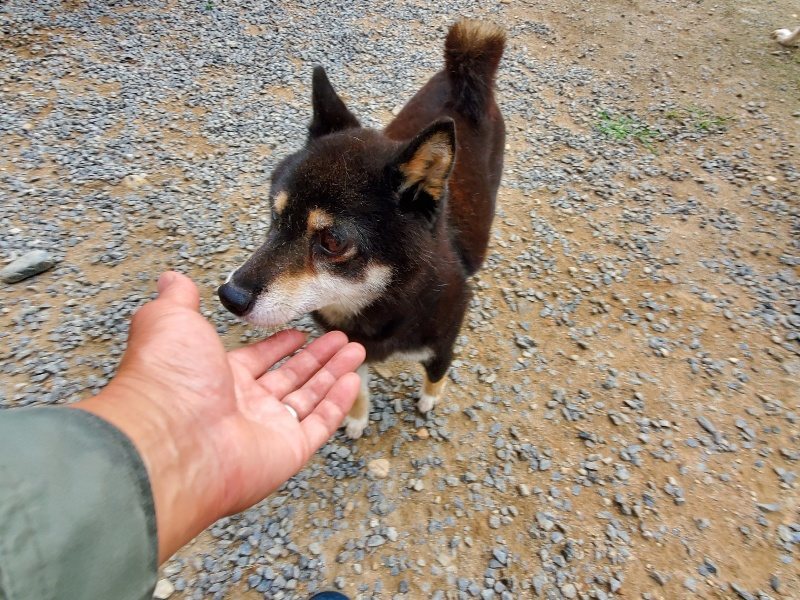 f:id:roukenhome-ann:20191007194632j:plain f:id:roukenhome-ann:20191007194632j:plain