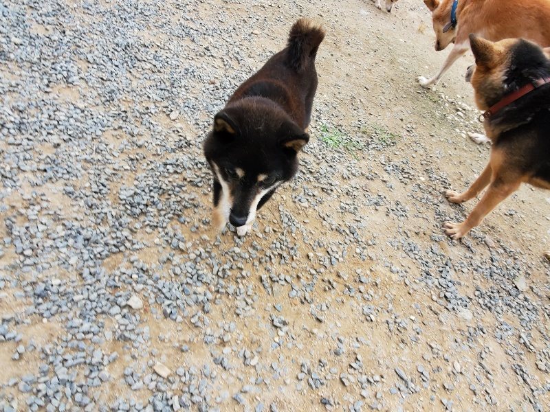 f:id:roukenhome-ann:20191007194642j:plain f:id:roukenhome-ann:20191007194642j:plain