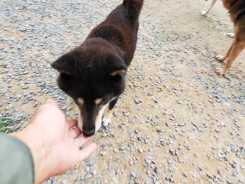 f:id:roukenhome-ann:20191007194647j:plain f:id:roukenhome-ann:20191007194647j:plain