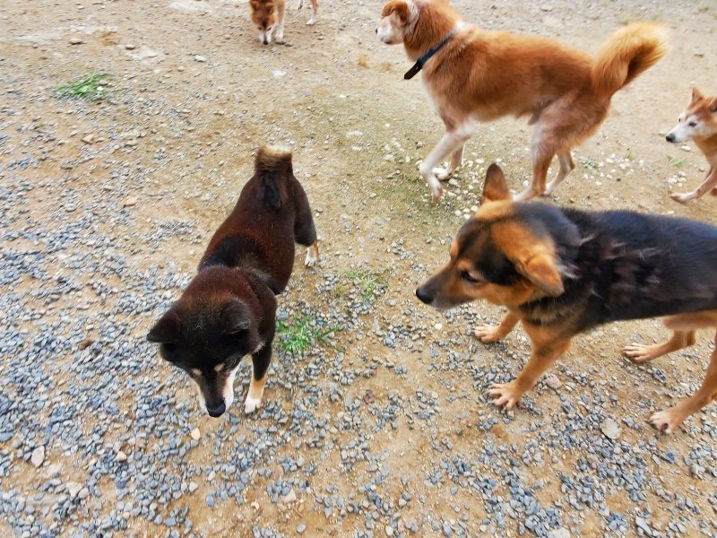 f:id:roukenhome-ann:20191007194655j:plain f:id:roukenhome-ann:20191007194655j:plain
