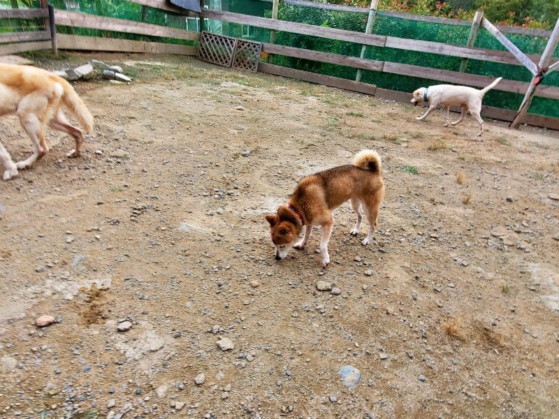 f:id:roukenhome-ann:20191007194728j:plain f:id:roukenhome-ann:20191007194728j:plain