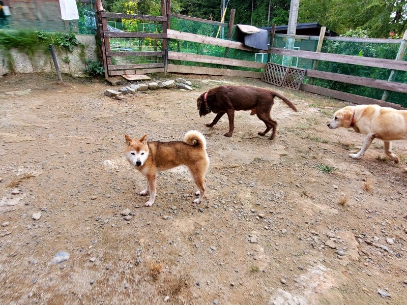 f:id:roukenhome-ann:20191007194754j:plain f:id:roukenhome-ann:20191007194754j:plain