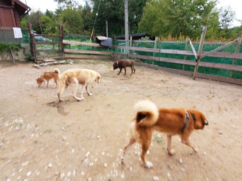 f:id:roukenhome-ann:20191007194802j:plain f:id:roukenhome-ann:20191007194802j:plain