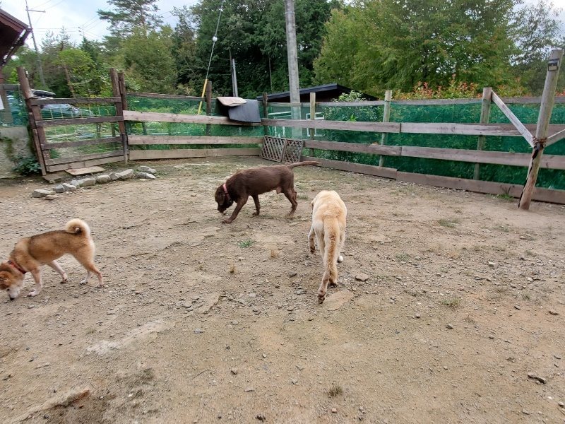 f:id:roukenhome-ann:20191007194813j:plain f:id:roukenhome-ann:20191007194813j:plain