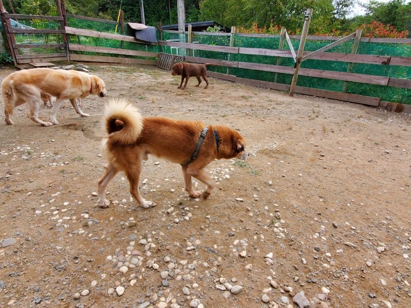 f:id:roukenhome-ann:20191007194829j:plain f:id:roukenhome-ann:20191007194829j:plain