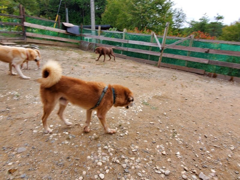 f:id:roukenhome-ann:20191007194847j:plain f:id:roukenhome-ann:20191007194847j:plain