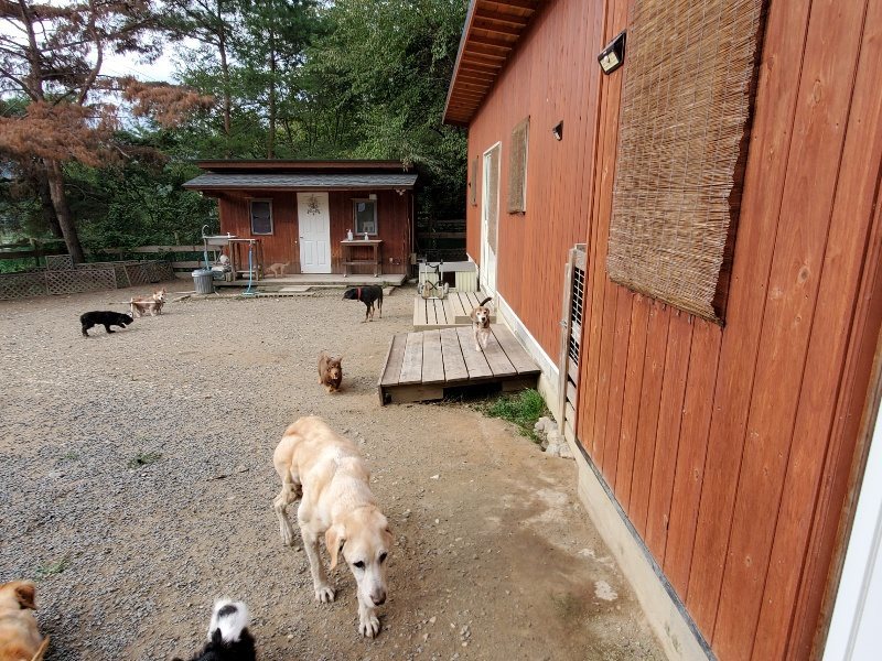 f:id:roukenhome-ann:20191007200339j:plain f:id:roukenhome-ann:20191007200339j:plain