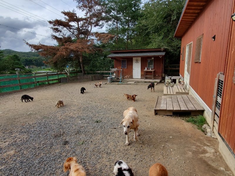 f:id:roukenhome-ann:20191007200357j:plain f:id:roukenhome-ann:20191007200357j:plain