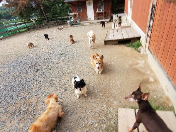 f:id:roukenhome-ann:20191007200407j:plain f:id:roukenhome-ann:20191007200407j:plain