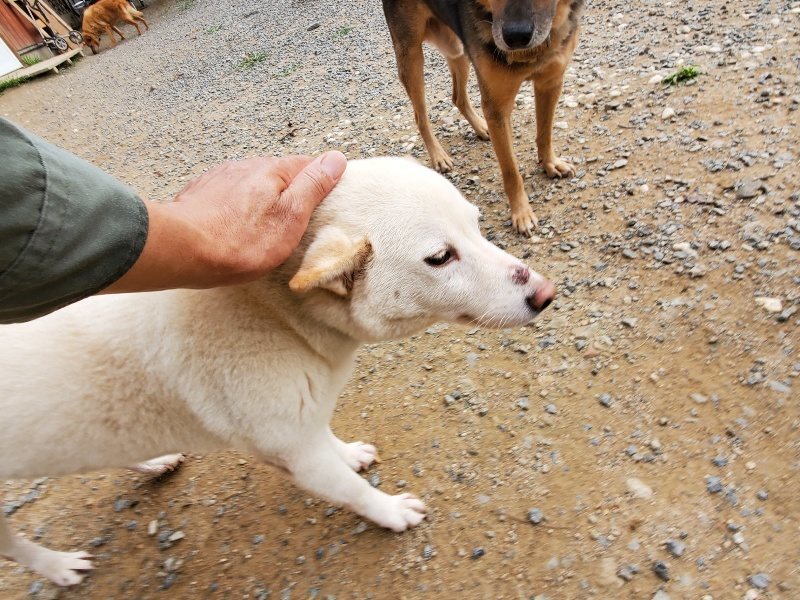 f:id:roukenhome-ann:20191007200442j:plain f:id:roukenhome-ann:20191007200442j:plain