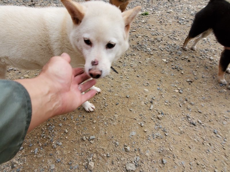 f:id:roukenhome-ann:20191007200452j:plain f:id:roukenhome-ann:20191007200452j:plain