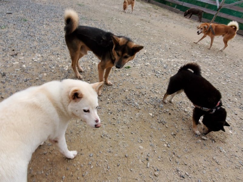 f:id:roukenhome-ann:20191007200519j:plain f:id:roukenhome-ann:20191007200519j:plain
