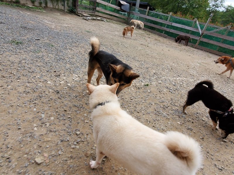 f:id:roukenhome-ann:20191007200529j:plain f:id:roukenhome-ann:20191007200529j:plain