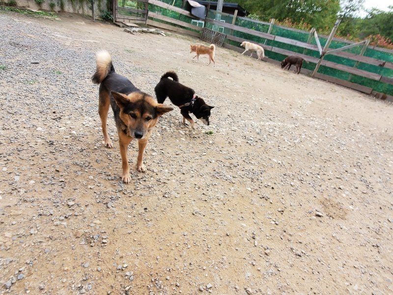 f:id:roukenhome-ann:20191007200543j:plain f:id:roukenhome-ann:20191007200543j:plain