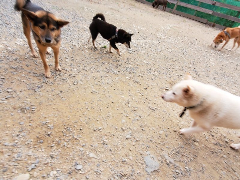 f:id:roukenhome-ann:20191007200556j:plain f:id:roukenhome-ann:20191007200556j:plain
