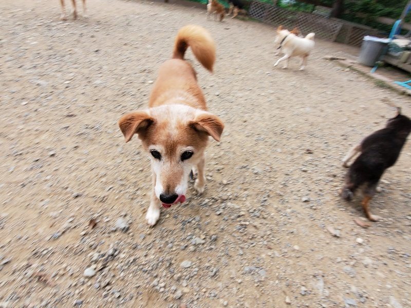 f:id:roukenhome-ann:20191007200615j:plain f:id:roukenhome-ann:20191007200615j:plain