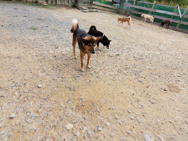 f:id:roukenhome-ann:20191007200624j:plain f:id:roukenhome-ann:20191007200624j:plain