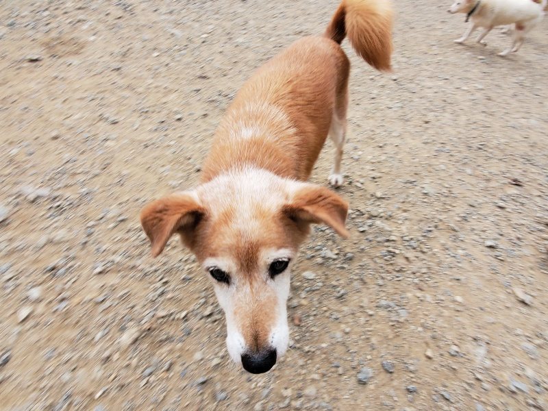 f:id:roukenhome-ann:20191007200638j:plain f:id:roukenhome-ann:20191007200638j:plain