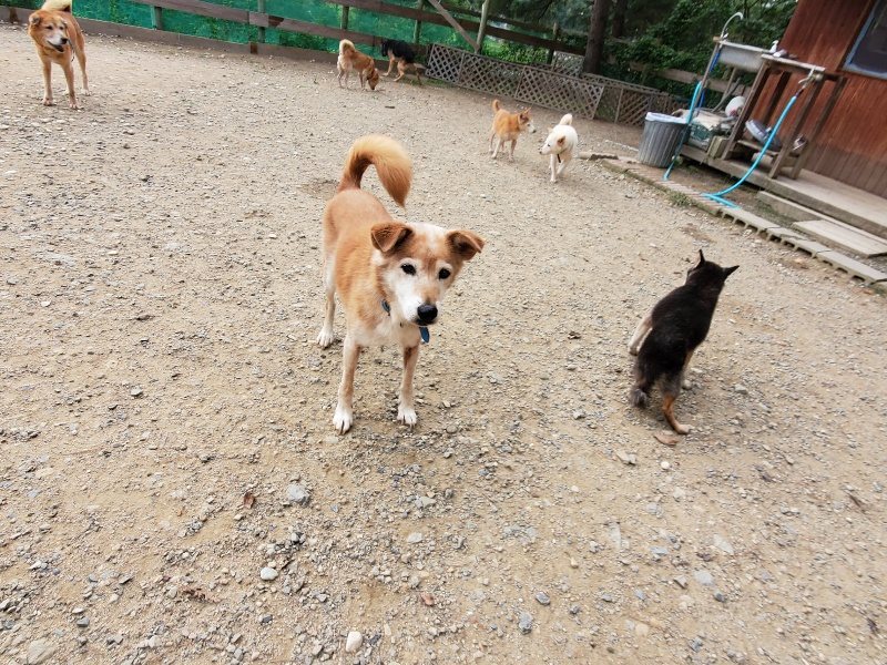 f:id:roukenhome-ann:20191007200645j:plain f:id:roukenhome-ann:20191007200645j:plain
