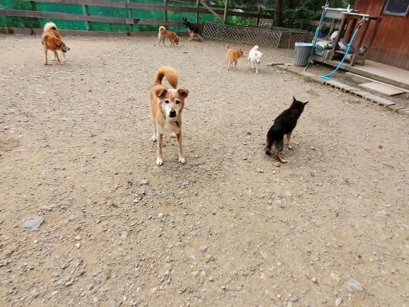 f:id:roukenhome-ann:20191007200657j:plain f:id:roukenhome-ann:20191007200657j:plain